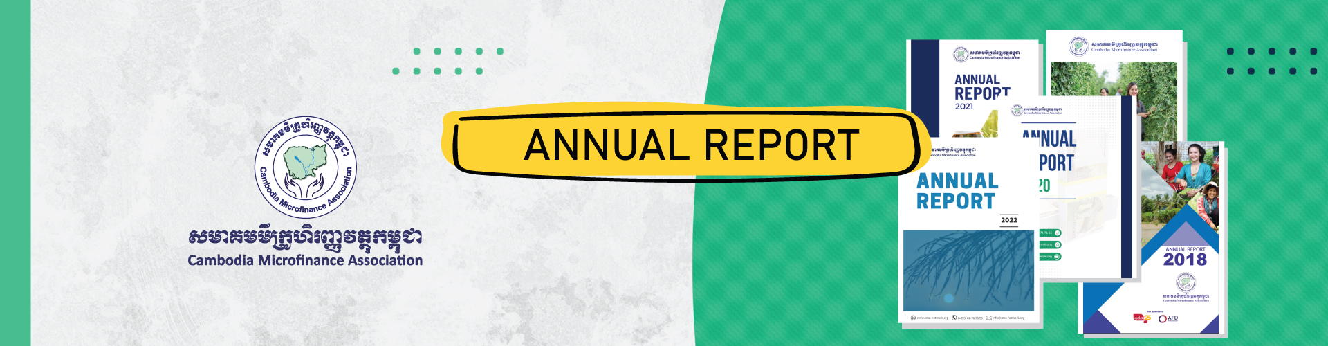 Annual Report Banner